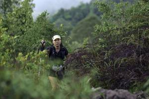 BIB: 
                            <button type="button" onclick="openModal(24761280)" class="btn btn-primary btn-sm float-right btn-popup" data-toggle="modal" data-target=".modal-high-quality">
                        <i class="fas fa-shopping-cart"></i> Add to Cart
                    </button>
                                            <button type="button" onclick="isThisMe(24761280, true)" class="btn btn-success btn-sm float-right btn-popup btn-isme hidden" data-toggle="tooltip" data-placement="bottom" title="นี่คือรูปของคุณใช่ไหม คลิกที่นี่เพื่อเอาเข้าอัลบั้ม">
                        <i class="fas fa-plus"></i> Add to album
                    </button>
                    <button type="button" onclick="isThisMe(24761280, false)" class="btn btn-warning btn-sm float-right btn-popup btn-isnotme hidden">
                        <i class="fas fa-ban"></i> Remove from album
                    </button>